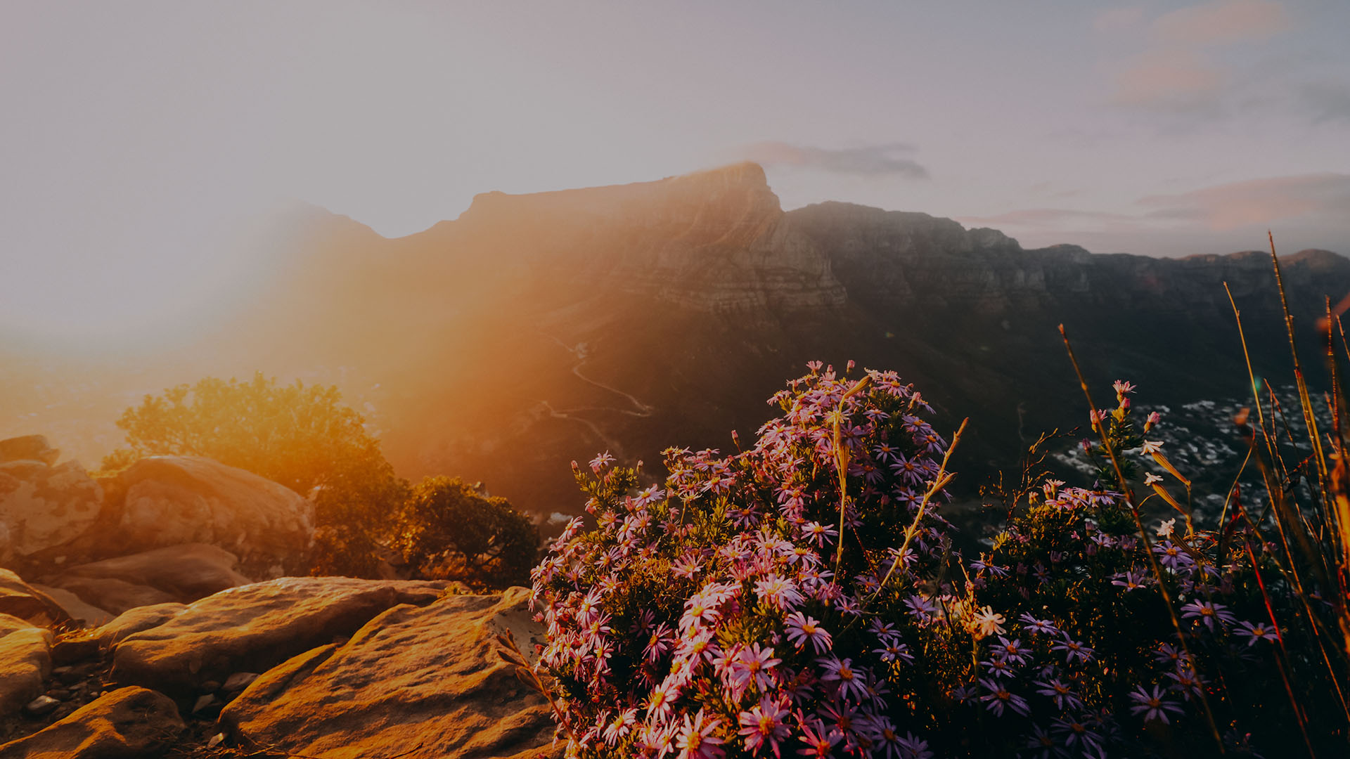 parallax background