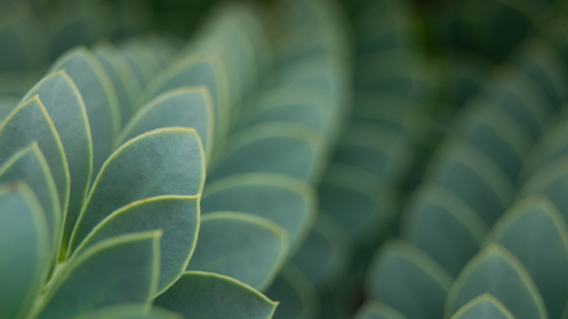 parallax background