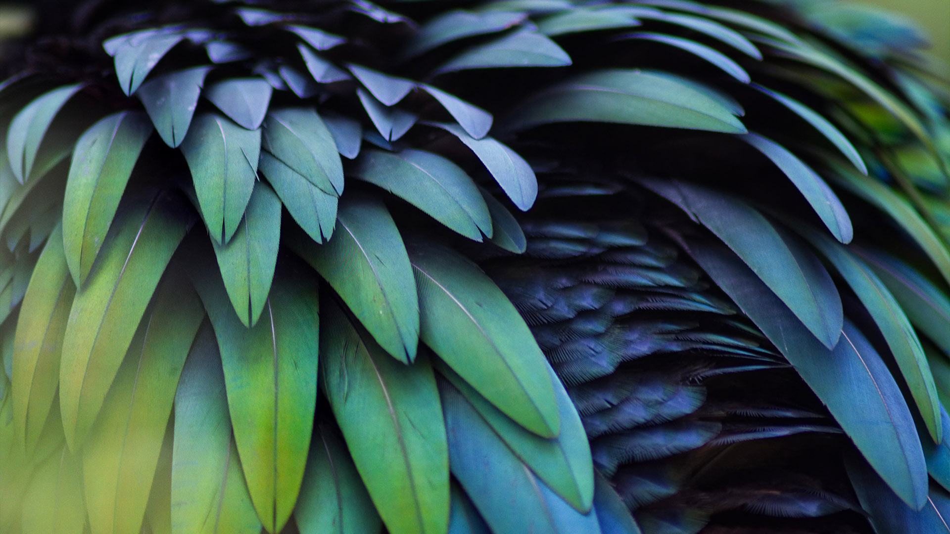 parallax background