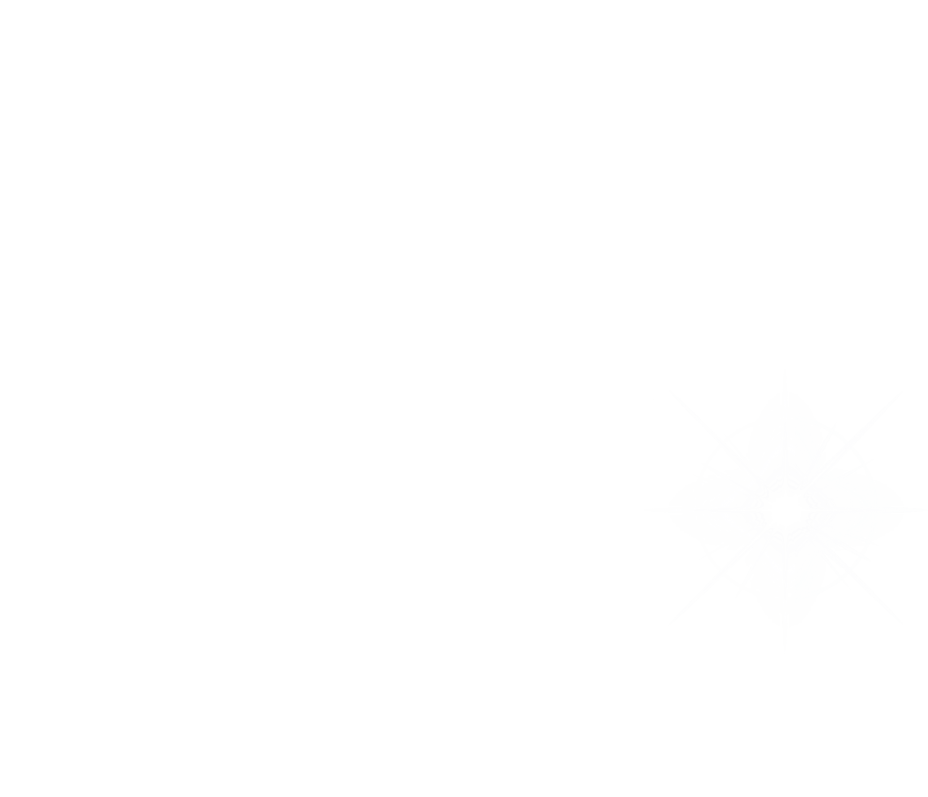 Job_VideoGrapher